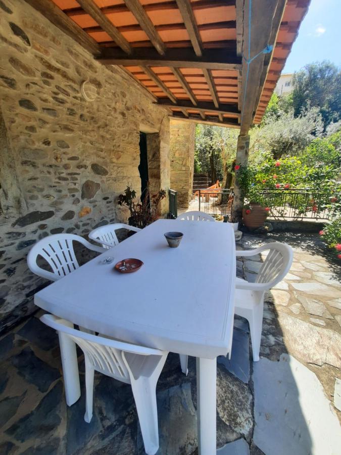 Casa Penafalcao Castelo Branco  Eksteriør bilde