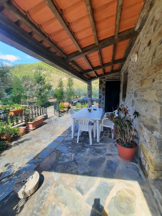 Casa Penafalcao Castelo Branco  Eksteriør bilde