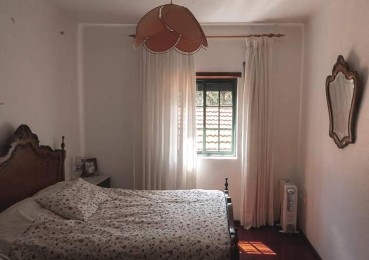 Casa Penafalcao Castelo Branco  Eksteriør bilde